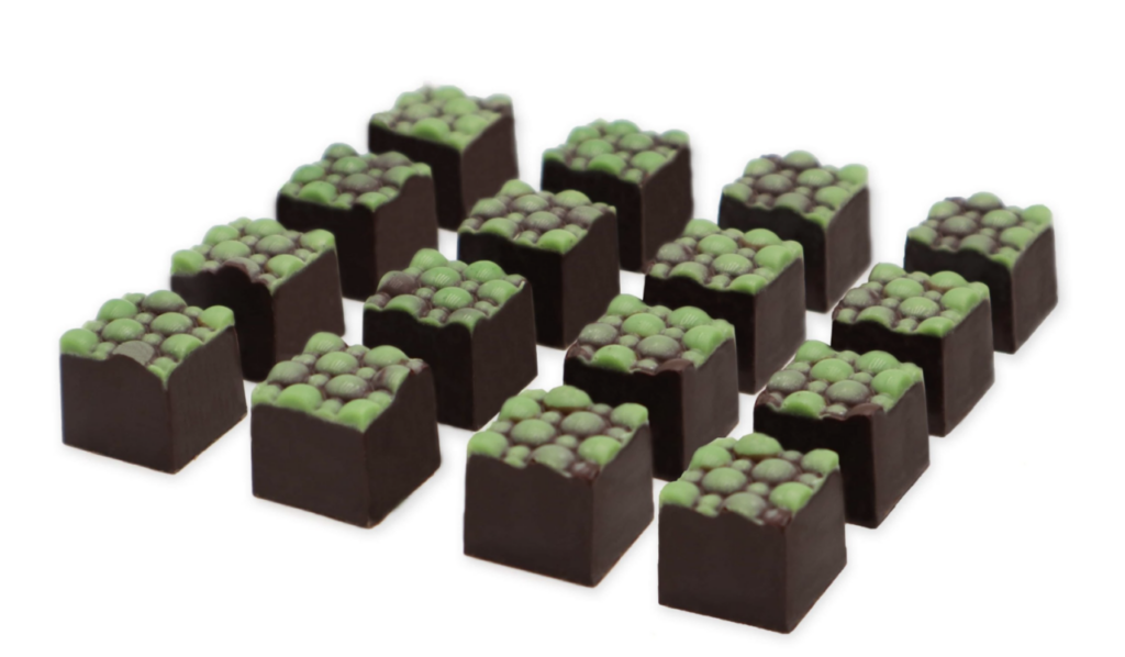 Pedaços de Cacau